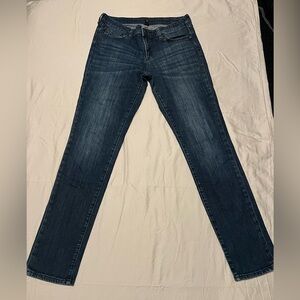 Gap Premium Skinny Denim